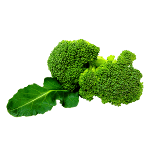 Organic Broccoli